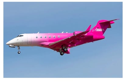 Avión privado adquirido por la abogada Alexandra Lozano, según una demanda colectiva.