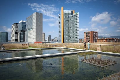 El terrat verd de l'edifici del Fòrum inaugurat avui.