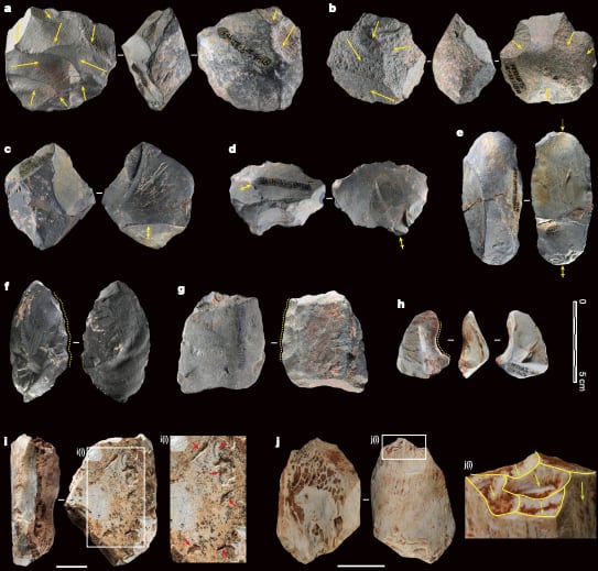El nuevo enigma de los ancestros humanos más misteriosos: 120.000 años sin mejorar nunca sus herramientas