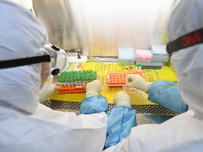 Investigadores chinos examinan muestras en un laboratorio del país asiático, el 6 de febrero. REUTERS/CHINA DAILY