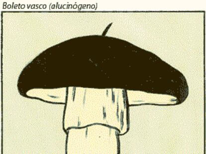 EL ROTO