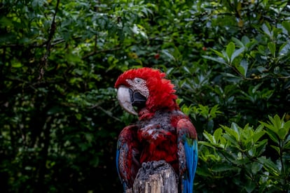 bioparque la reserva