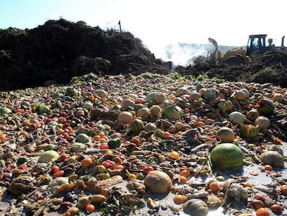 ¿Cuánto contamina la comida que se tira?