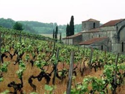 Imagen de unos viñedos en la zona de Burdeos.