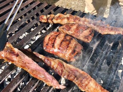 MOGOTE Y LAGARTO A LA PARRILLA / CAPEL