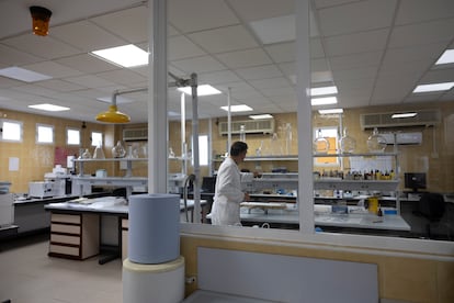 En le laboratorio de químicos se desarrolla el área de intervención y el de investigación.