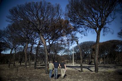 Más del 70% del área calcinada está dentro del Parque Natural. Es el peor incendio que ha sufrido Doñana, aunque por suerte las llamas no penetraron en el Parque Nacional, el lugar de mayor valor ecológico.