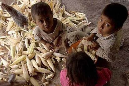 Unos niños desgranan maíz en su casa de Tesoro Abajo, en Guatemala