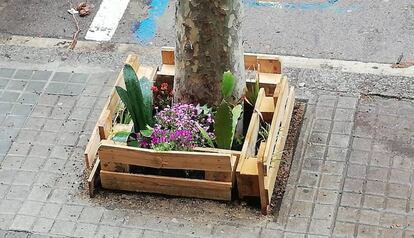 Algunos vecinos vigilan desde su ventana el alcorque que justo antes de encerrarse pudieron convertir en un jardín