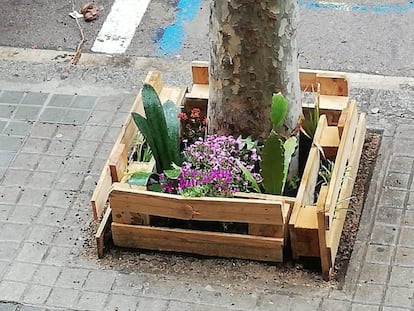 Algunos vecinos vigilan desde su ventana el alcorque que justo antes de encerrarse pudieron convertir en un jardín