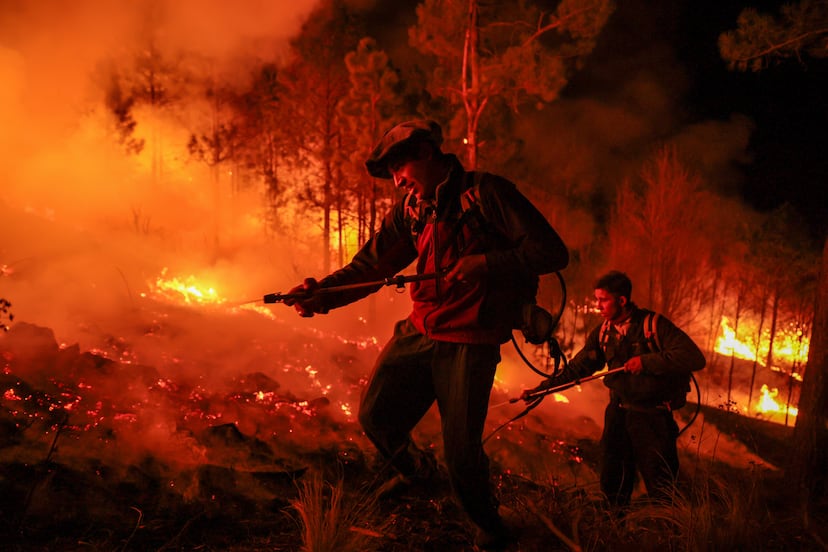 Incendios Forestales En América Latina El Fuego Devora Sudamérica Y