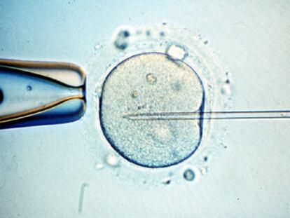 ¿Cómo le contarías a tu hijo por qué no tiene padre?