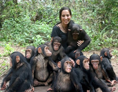 La doctora Rebeca Atencia, directora del Instituto Jane Goodall, con un grupo de chimpanc&eacute;s.