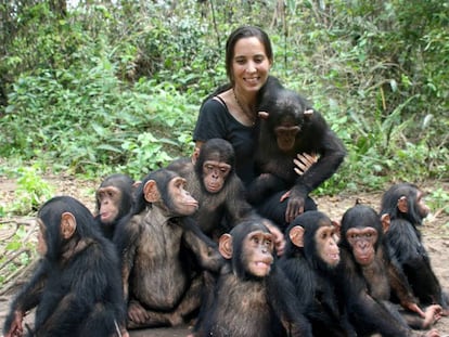 La doctora Rebeca Atencia, directora del Instituto Jane Goodall, con un grupo de chimpanc&eacute;s.