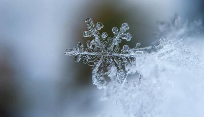 Copo de nieve