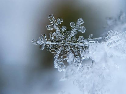 Cómo hacer que nieve en la pantalla del escritorio de un ordenador con Windows 11