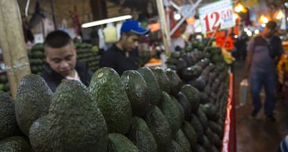 Un puesto de aguacates en el mercado mexicano de la Merced.