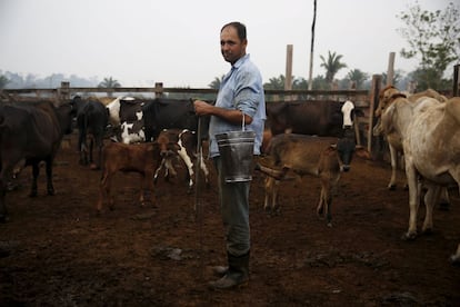 Edivaldo Fernandes Oliveira stands next to his cows before milking them in the village of Rio Pardo next to Bom Futuro National Forest, in the district of Porto Velho, Rondonia State, Brazil, September 1, 2015. The town of Rio Pardo, a settlement of about 4,000 people in the Amazon rainforest, rises where only jungle stood less than a quarter of a century ago. Loggers first cleared the forest followed by ranchers and farmers, then small merchants and prospectors. Brazil's government has stated a goal of eliminating illegal deforestation, but enforcing the law in remote corners like Rio Pardo is far from easy. REUTERS/Nacho Doce PICTURE 32 OF 40 FOR WIDER IMAGE STORY "EARTHPRINTS: RIO PARDO" SEARCH "EARTHPRINTS PARDO" FOR ALL IMAGES