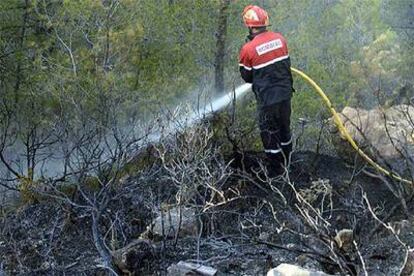 Un bombero sofoca, en el término municipal de Relleu, las llamas del incendio registrado ayer. 

/ CIO