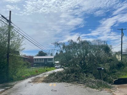 A tree covers a road after severe storms hit Tuesday, April 2, 2024