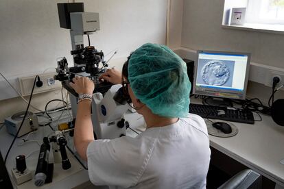 Una doctora mira a través del microscopio una muestra en el centro de reproducción asistida del hospital Virgen del Rocío en Sevilla.