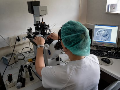 Sevilla/23-04-2019: Una doctora mira a través del microscopio una muestra de embrión en el centro de reproducción asistida del hospital Virgen del Rocío en Sevilla.
FOTO: PACO PUENTES/EL PAIS
