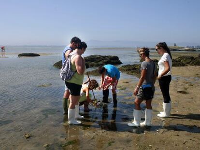 Un grupo de turistas durante una visita guiada organizada por Guimatur en una playa de Cambados. / CARLOS PUGA