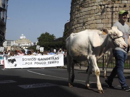 Concentraci&oacute;n en Lugo contra el bajo precio de la leche esta semana.