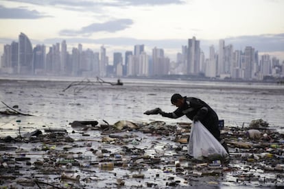 Un activista recoge residuos de plástico en la bahía de Panamá.