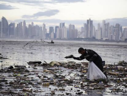 Un activista recoge residuos de plástico en la bahía de Panamá.
