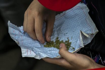 El 2 de diciembre de 2020, la Organización de las Naciones Unidas (ONU) reconoció oficialmente las propiedades terapéuticas de la marihuana.