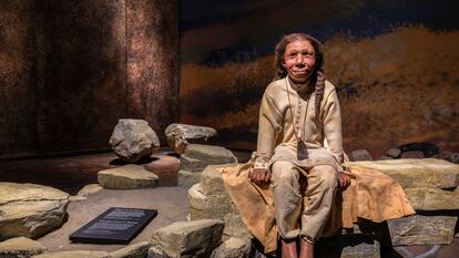 Exposição sobre neandertais no museu de Moesgaard, na Dinamarca. Moesgaard Museum