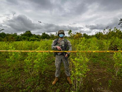 Un soldado colombiano durante una operación para erradicar cultivos de coca en Tumaco, Nariño, en diciembre de 2020.