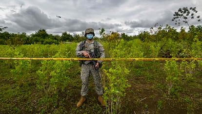 Un soldado colombiano durante una operación para erradicar cultivos de coca en Tumaco, Nariño, en diciembre de 2020.