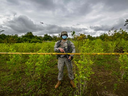 Un soldado colombiano durante una operación para erradicar cultivos de coca en Tumaco, Nariño, en diciembre de 2020.