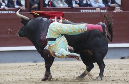 Aunque los espectadores temieron que el torero hubiera resultado herido, Mora volvió al ruedo para protagonizar una faena espléndida a un toro de bandera.