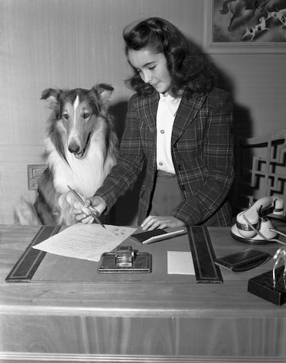 Elizabeth Taylor y un famoso collie, 'Lassie', en 1943.