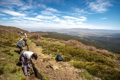 acequias de época nazarí del área de Granada.