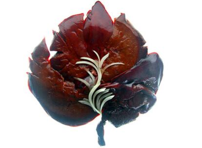 Hígados encebollados, homenaje a la artista Georgia O'Keeffe y a su obra <b><i>Dark and lavender leaf</b></i>.