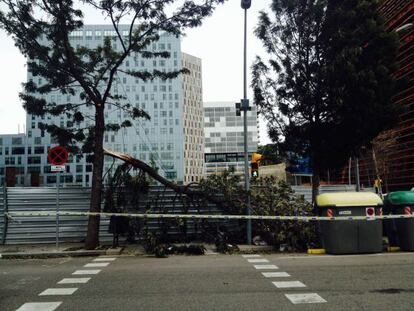 Los efectos del viento en Glòries, en Barcelona.