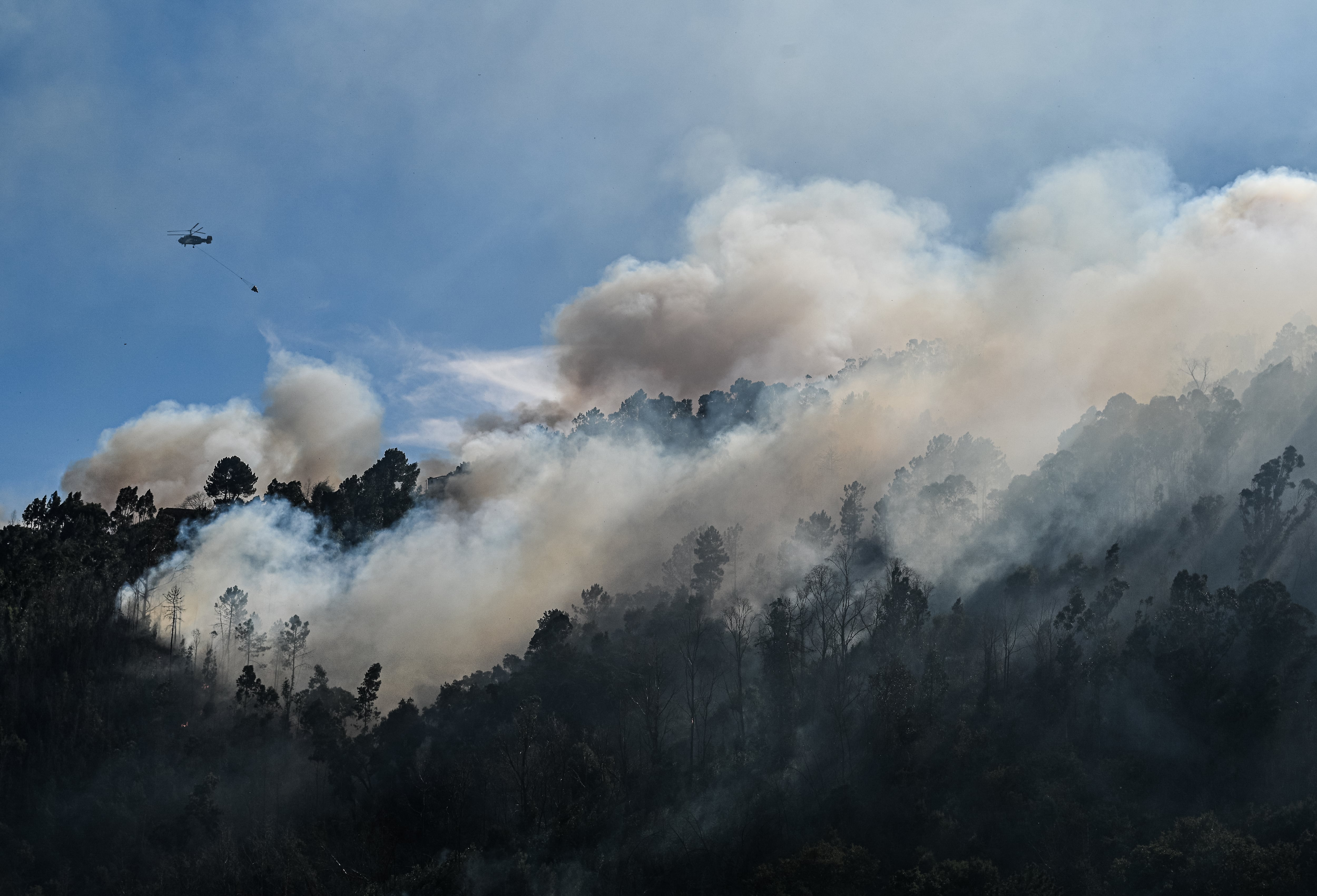 Portugal pide ayuda aérea a la Unión Europea tras verse desbordado por 43 incendios simultáneos