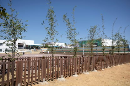 Alcorques con plantas de bambú en el patio del CEIP El Olivo, en la localidad sevillana de Mairena del Aljarafe.