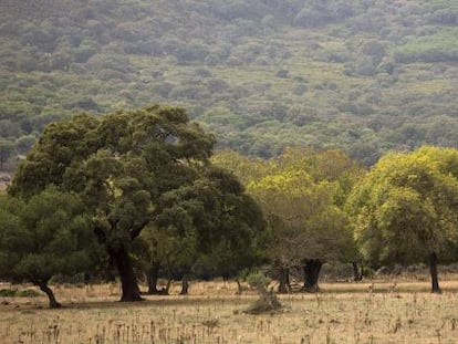 La finca La Almoraima pertenece al Estado desde 1983. 