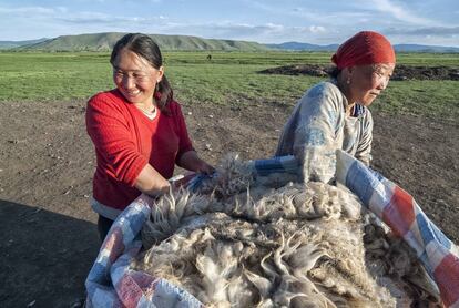 Gandantuyar y su hija preparan un saco de lana recién esquilada para vendérsela a los intermediarios.