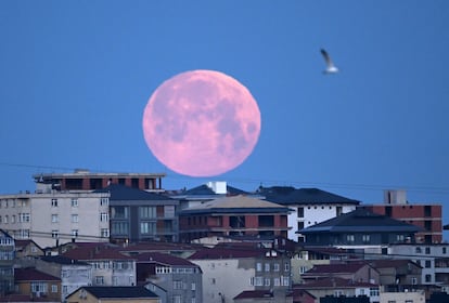 La Luna vista sobre el cielo de Estambul (Turquía).