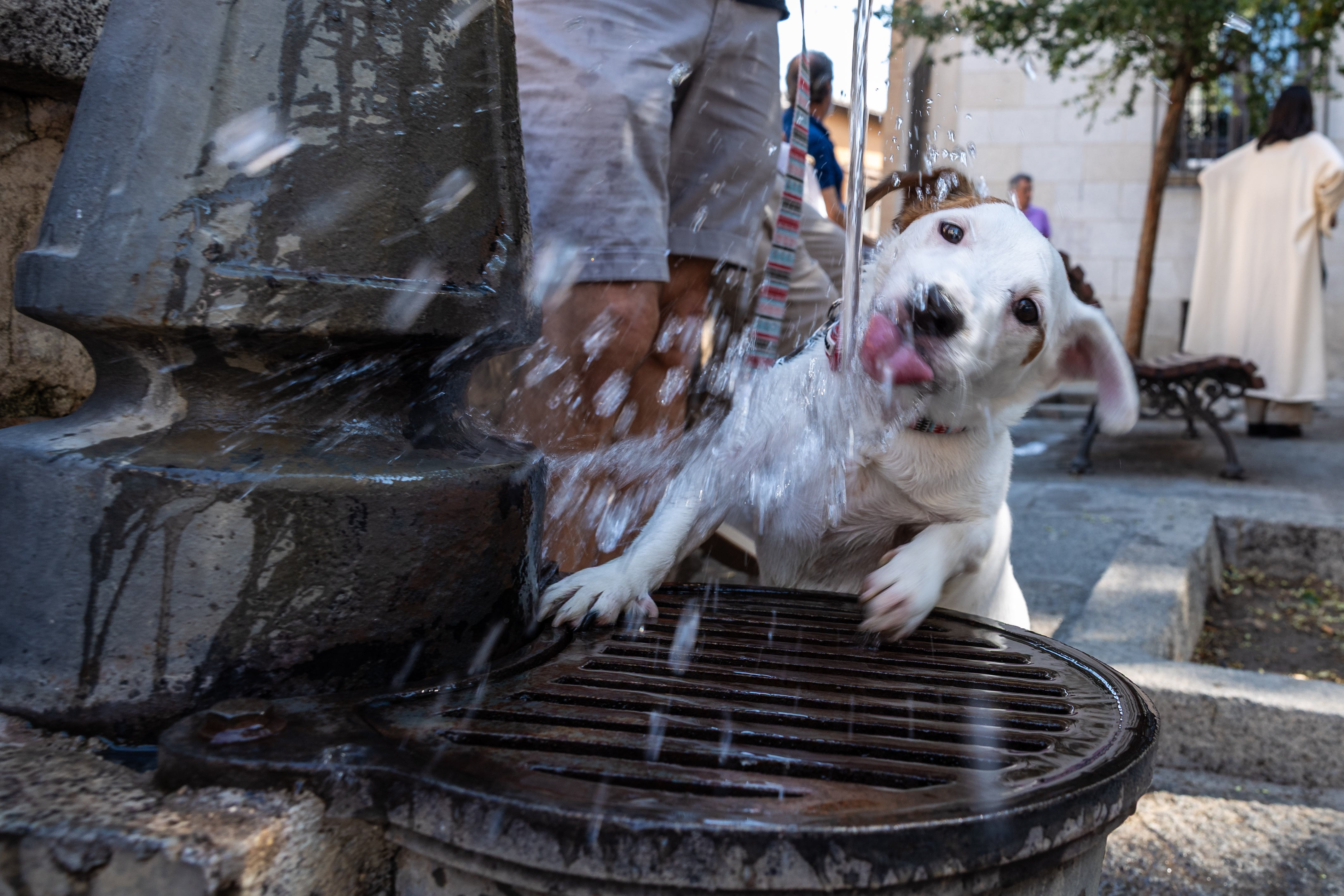 España afronta el final de la segunda ola de calor con la amenaza de un nuevo repunte de las temperaturas la próxima semana