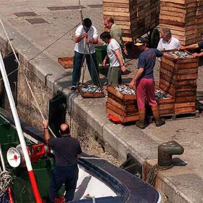 <b><i>Arrantzales</b></i> descargan anchoa en el puerto de Bermeo en la pasada costera.