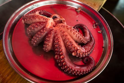 Pulpo en un bar de Villafranca del Bierzo (León).