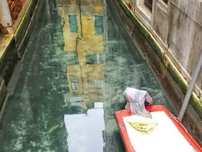 La cuarentena 'limpia’ los canales de Venecia