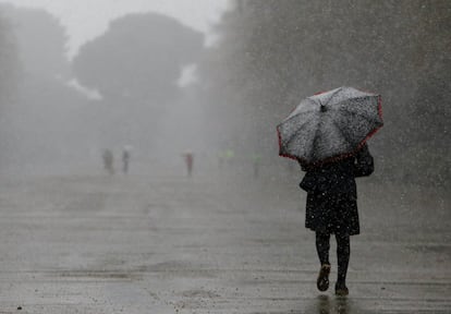 Una persona camina bajo la nieve en el Parque del Retiro de Madrid.